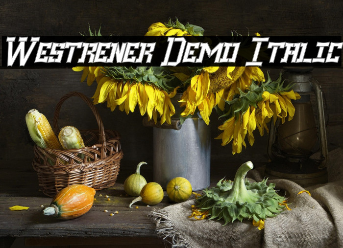 Westrener Demo Italic Example 3
