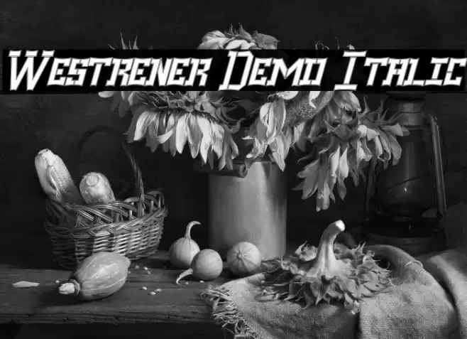 Westrener Demo Italic Font examples