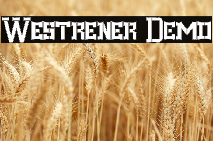 Westrener Demo Example 1