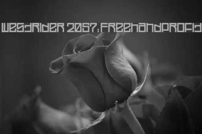 Westrider 2057:FreehandProfit Font examples