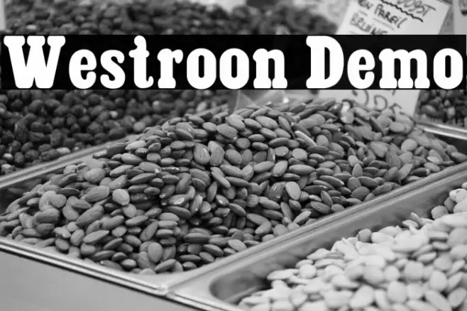 Westroon Demo Font examples