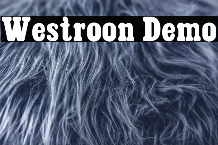 Westroon Demo Example 2