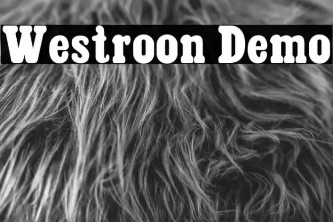 Westroon Demo Font examples