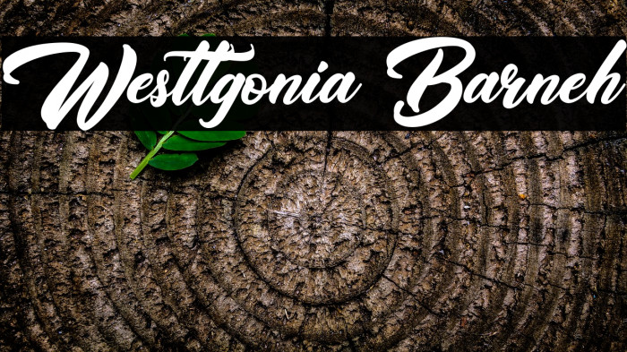 Westtgonia Barneh Font examples