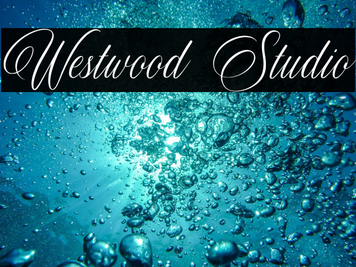 Westwood Studio Example 1