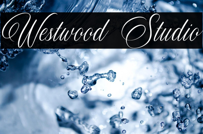 Westwood Studio Example 2