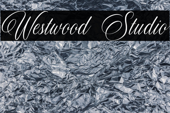 Westwood Studio Example 3