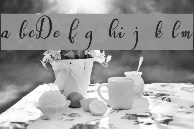 Westyler Demo Font examples