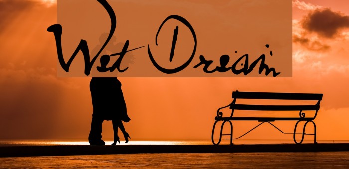 Wet Dream Example 1