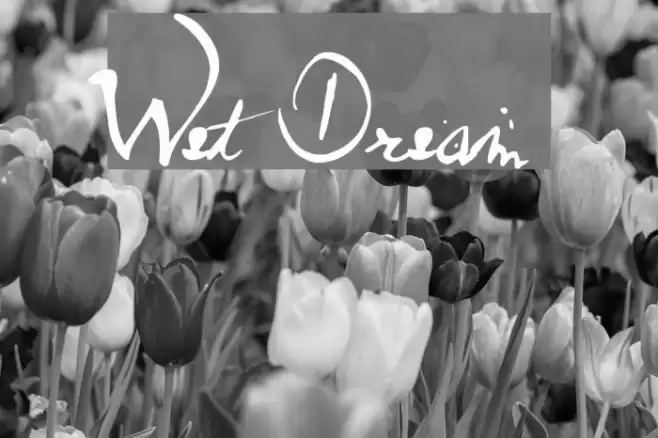 Wet Dream Font examples