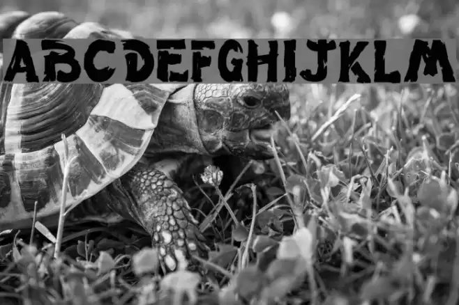 Wet Paint Font examples