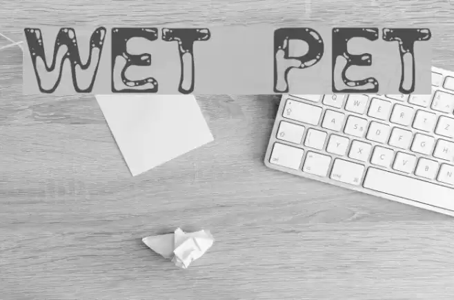 Wet Pet Schriftart examples