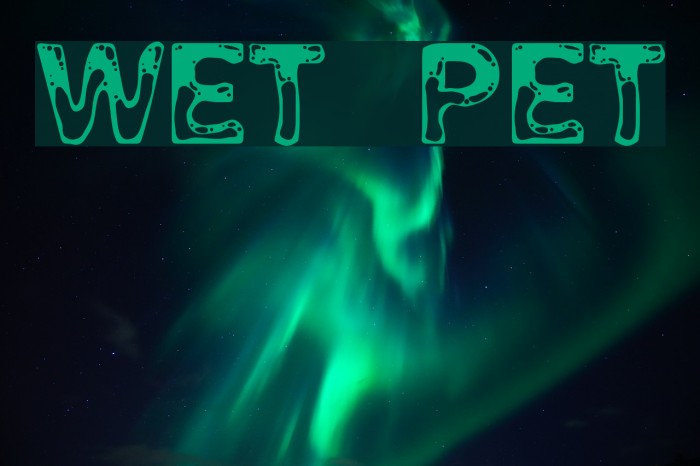 Wet Pet Font examples