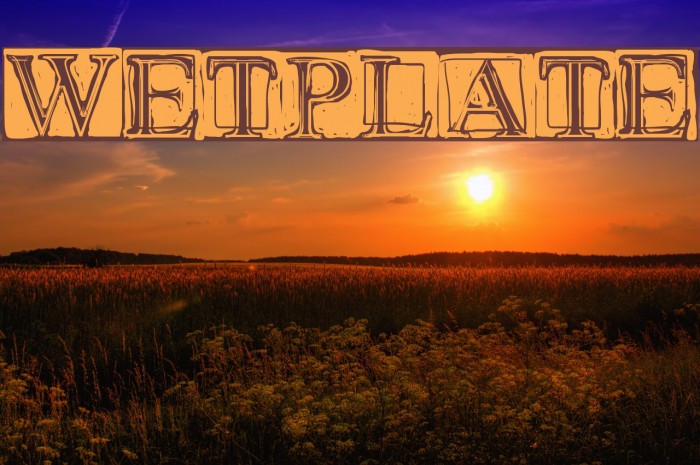 Wet Plate Font examples