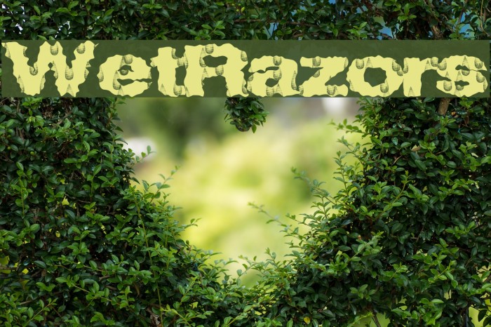 WetRazors Font examples