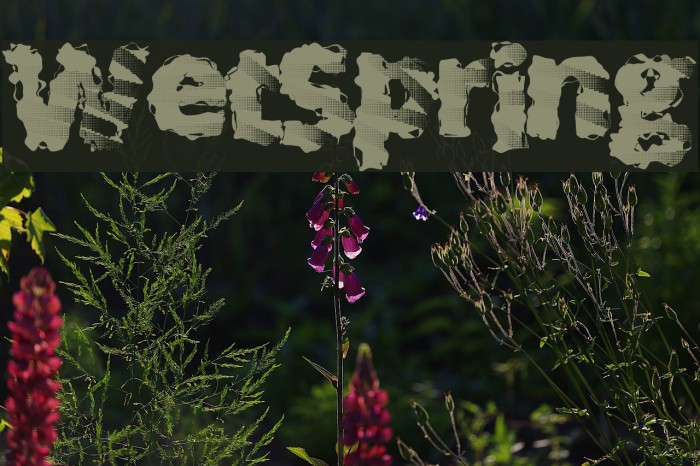 WetSpring Font examples