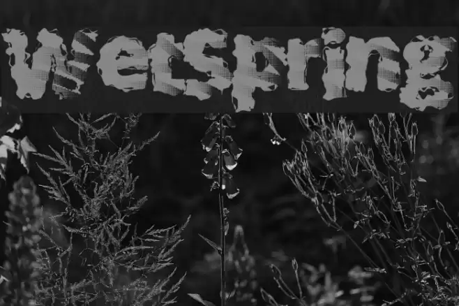 WetSpring Font examples