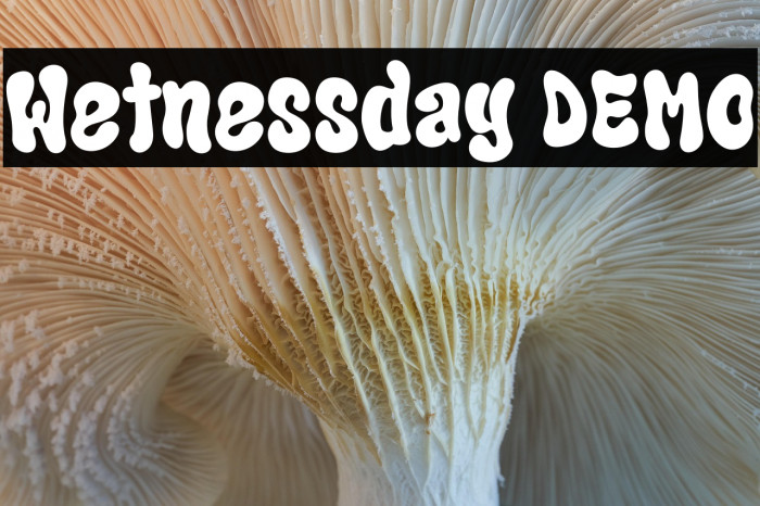 Wetnessday DEMO Example 3