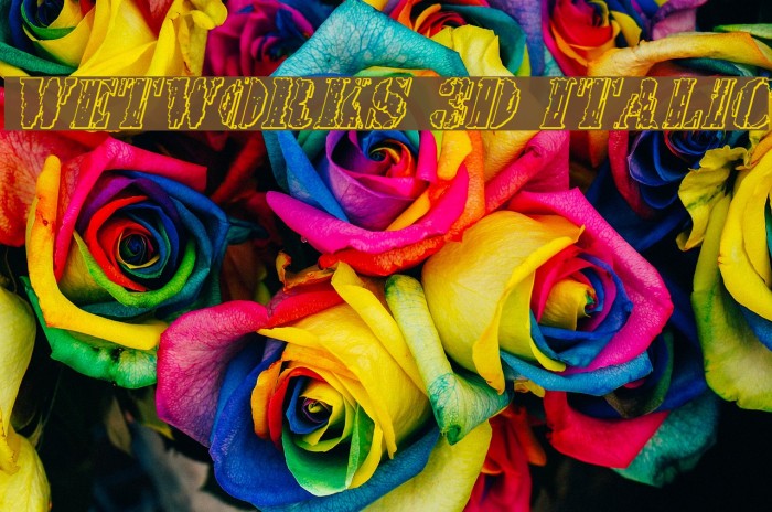 Wetworks 3D Italic Example 1