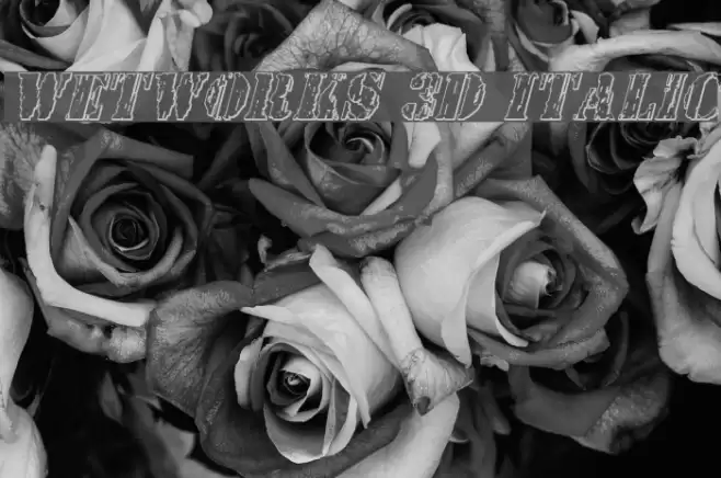 Wetworks 3D Italic Font examples