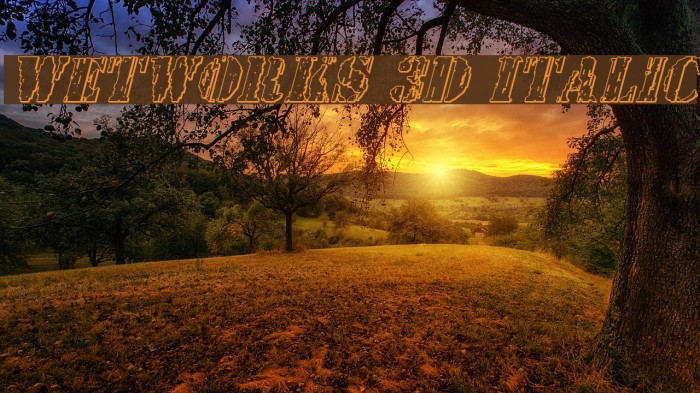 Wetworks 3D Italic Example 2