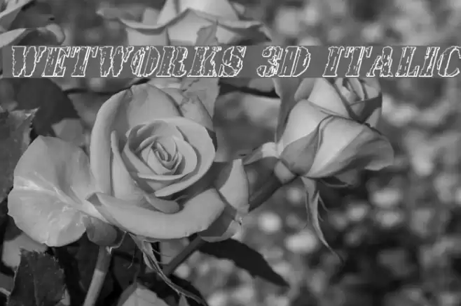 Wetworks 3D Italic Font examples