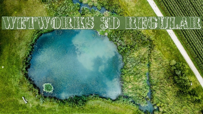 Wetworks 3D Regular Font examples
