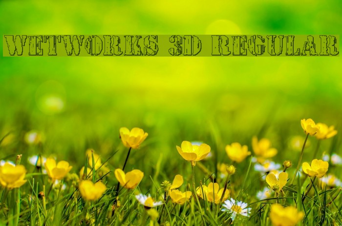 Wetworks 3D Regular Font examples