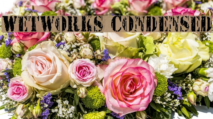 Wetworks Condensed Font examples
