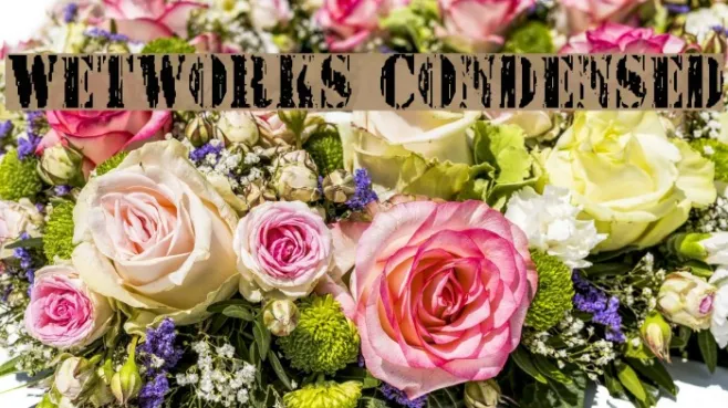 Wetworks Condensed Example 3