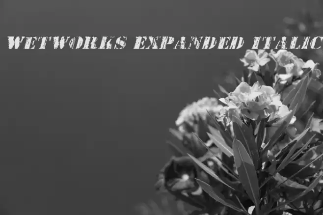 Wetworks Expanded Italic Schriftart examples