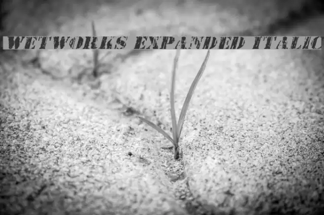 Wetworks Expanded Italic Schriftart examples