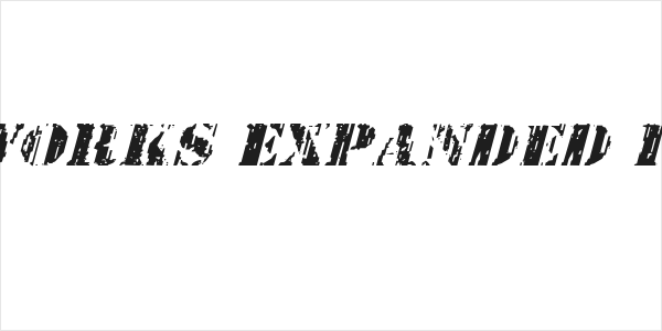 Wetworks Expanded Italic Logo