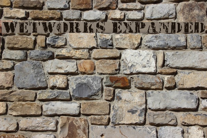 Wetworks Expanded Example 1