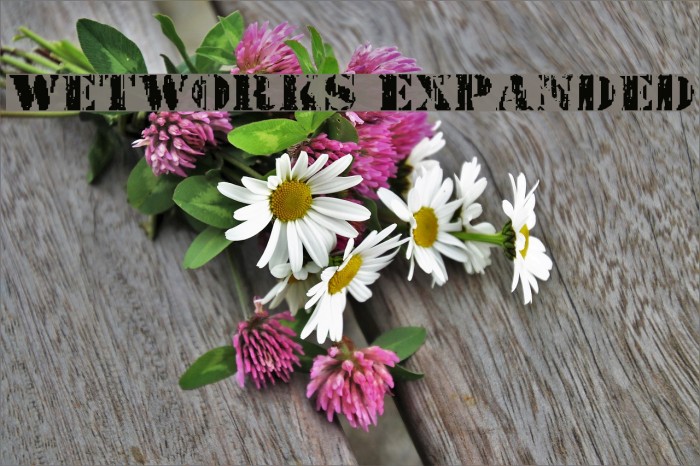 Wetworks Expanded Example 2