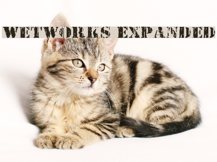 Wetworks Expanded Example 3