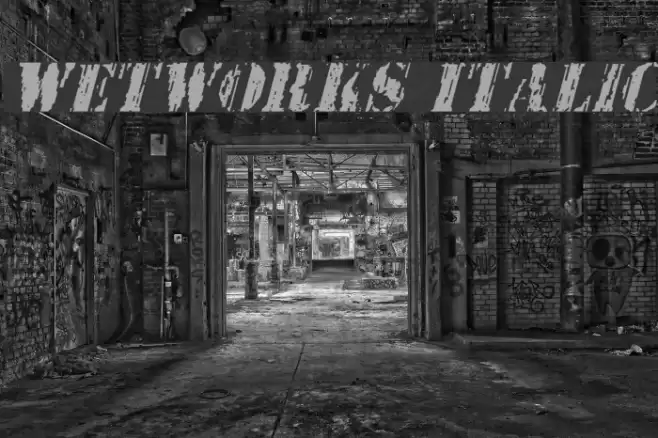 Wetworks Italic Font examples