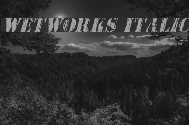 Wetworks Italic Font examples