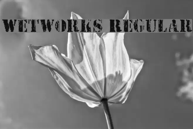 Wetworks Regular Font examples