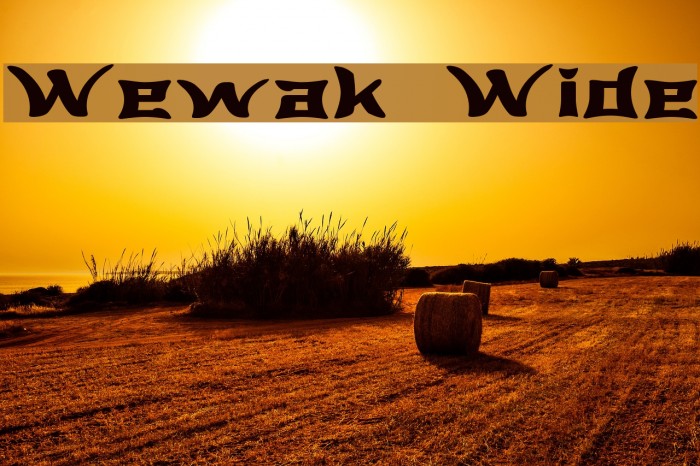 Wewak Wide Font examples