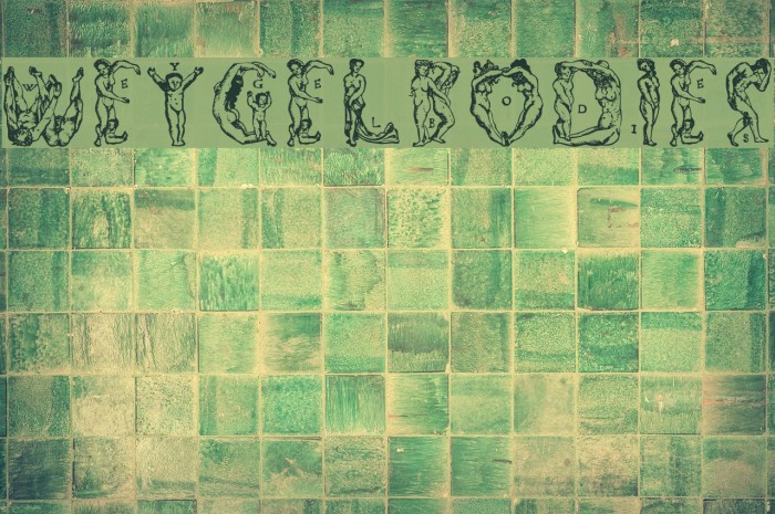 WeygelBodies Font examples
