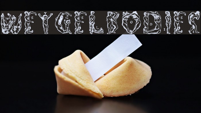 WeygelBodies Font examples
