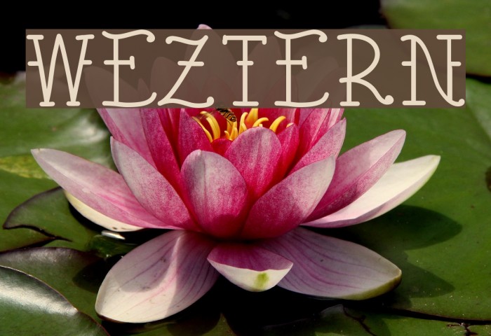Weztern Polices examples