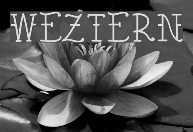 Weztern Font examples