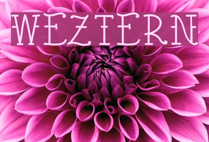 Weztern Polices examples
