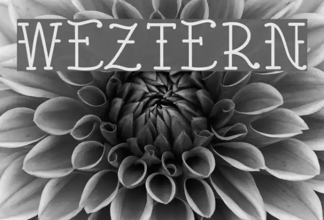 Weztern Font examples