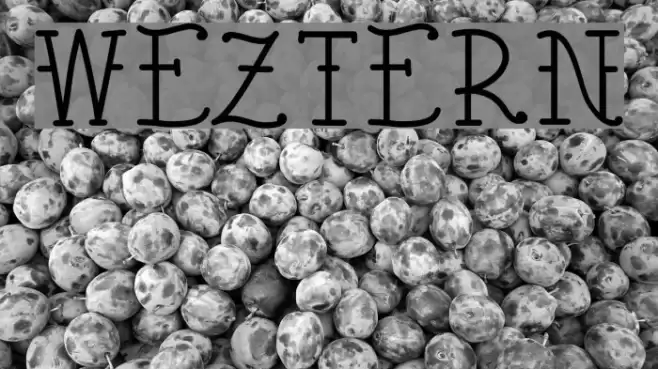 Weztern Font examples