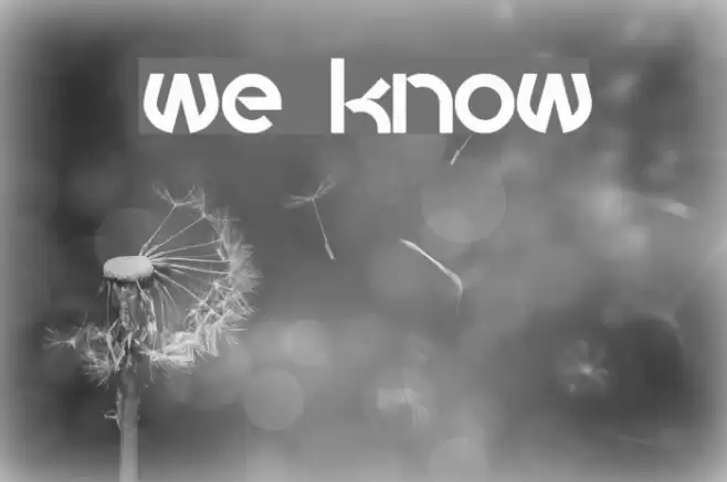 we know Font examples