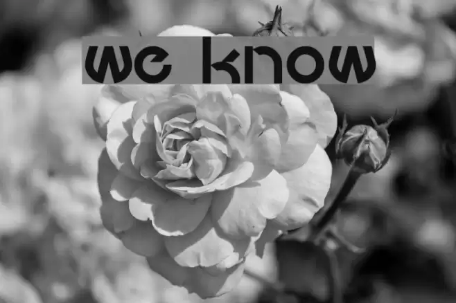 we know  examples
