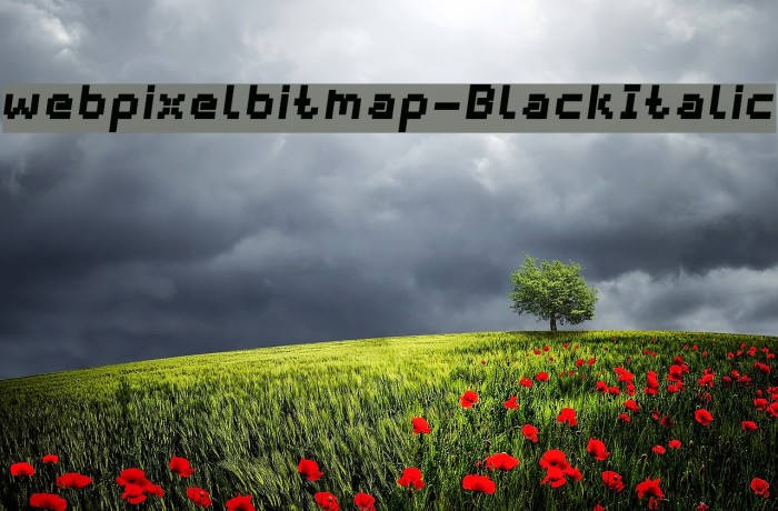 webpixelbitmap-BlackItalic Font examples